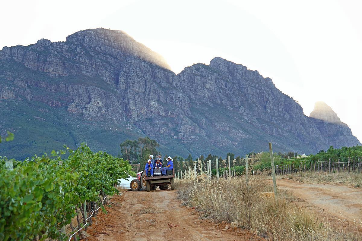 Muratie Wine Estate Stellenbosch Exteriör bild