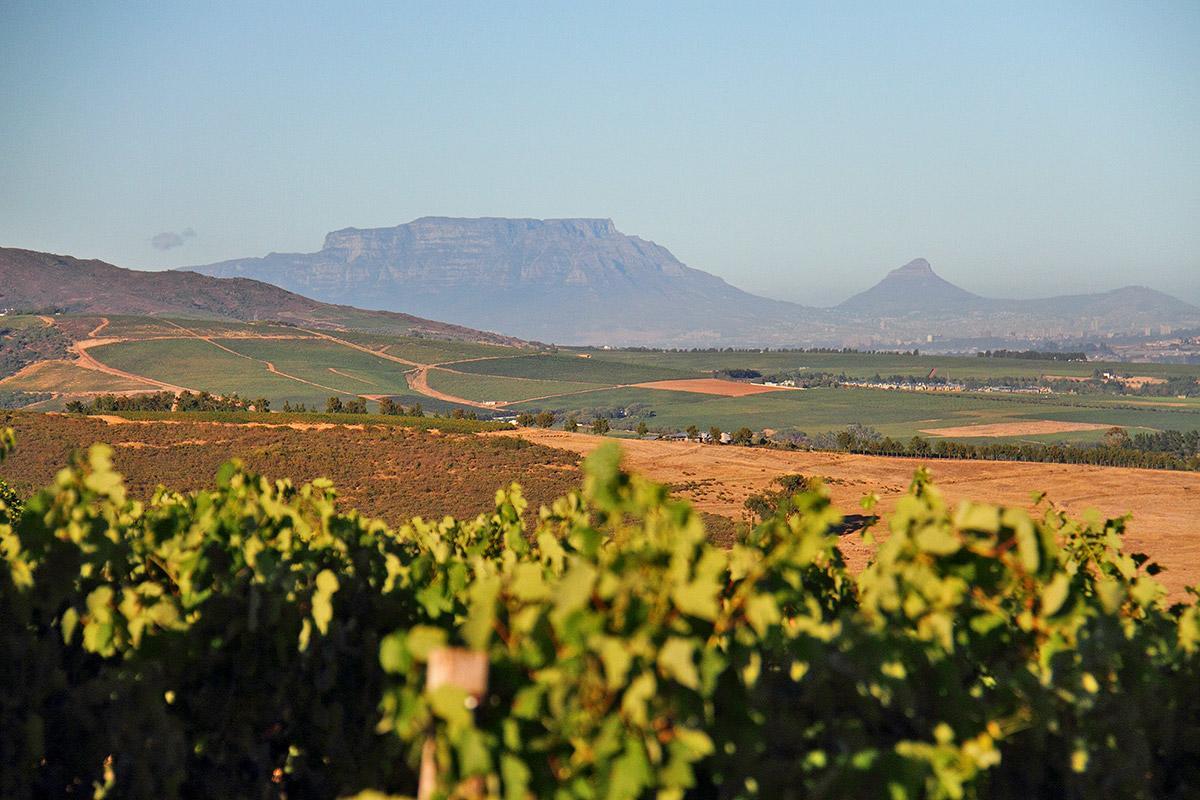 Muratie Wine Estate Stellenbosch Exteriör bild