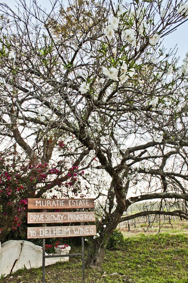 Muratie Wine Estate Stellenbosch Exteriör bild